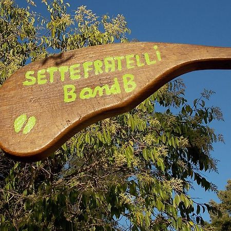 B&B Sette Fratelli San Gregorio  Екстер'єр фото