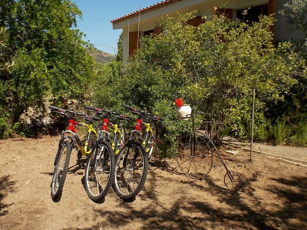 B&B Sette Fratelli San Gregorio  Екстер'єр фото